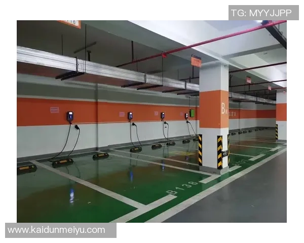 充电桩智能化发展趋势与未来市场潜力分析报告