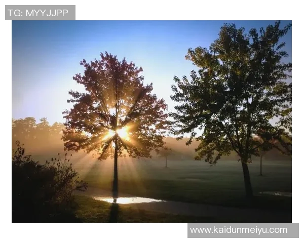 探索光影的艺术：从基础技巧到创意表达，摄影之美无处不在