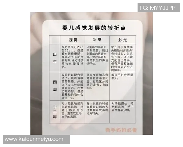 早教启蒙：打造孩子全面发展基础的科学方法与实践路径