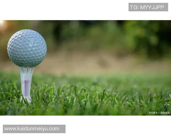 球类运动的多样化发展与全球化趋势探析：从传统项目到新兴运动的兴起与融合