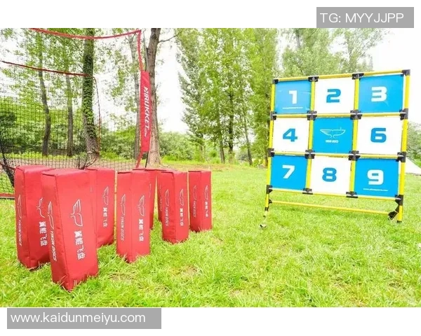 飞盘新手必看：轻松掌握技巧与配合的全面入门指南