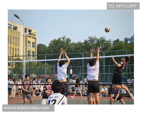 排球盛宴：深入解析北京排球队的默契配合与战术策略